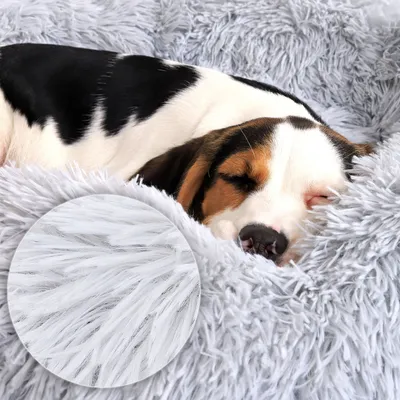 lionto Donut-Hundebett aus weichem Plüsch mit rutschfester Unterseite lionto Donut-Hundebett aus weichem Plüsch mit rutschfester Unterseite
