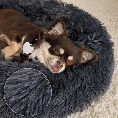 lionto Donut-Hundebett aus weichem Plüsch mit rutschfester Unterseite lionto Donut-Hundebett aus weichem Plüsch mit rutschfester Unterseite