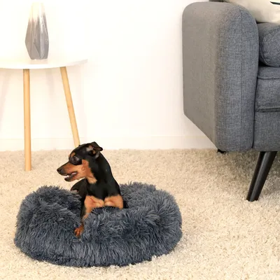lionto Donut-Hundebett aus weichem Plüsch mit rutschfester Unterseite lionto Donut-Hundebett aus weichem Plüsch mit rutschfester Unterseite