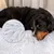 lionto Donut-Hundebett aus weichem Plüsch mit rutschfester Unterseite lionto Donut-Hundebett aus weichem Plüsch mit rutschfester Unterseite