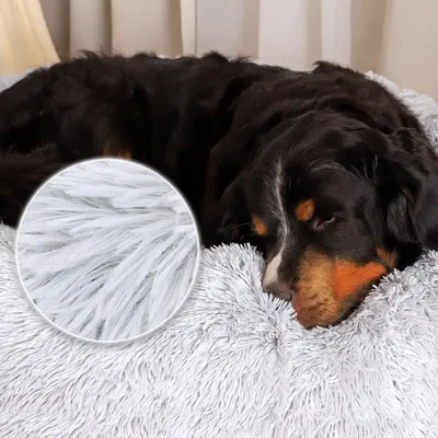 lionto Donut-Hundebett aus weichem Plüsch mit rutschfester Unterseite lionto Donut-Hundebett aus weichem Plüsch mit rutschfester Unterseite