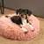 lionto Donut-Hundebett aus weichem Plüsch mit rutschfester Unterseite lionto Donut-Hundebett aus weichem Plüsch mit rutschfester Unterseite