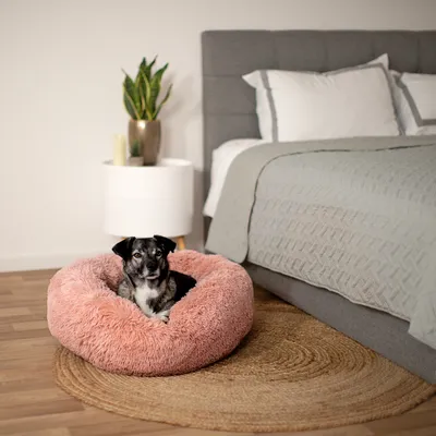 lionto Donut-Hundebett aus weichem Plüsch mit rutschfester Unterseite lionto Donut-Hundebett aus weichem Plüsch mit rutschfester Unterseite