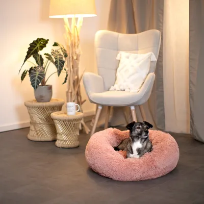 lionto Donut-Hundebett aus weichem Plüsch mit rutschfester Unterseite lionto Donut-Hundebett aus weichem Plüsch mit rutschfester Unterseite