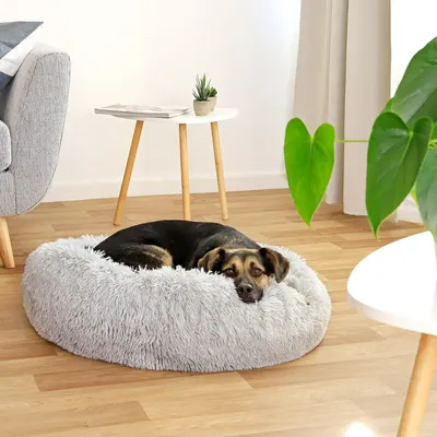 lionto Donut-Hundebett aus weichem Plüsch mit rutschfester Unterseite lionto Donut-Hundebett aus weichem Plüsch mit rutschfester Unterseite