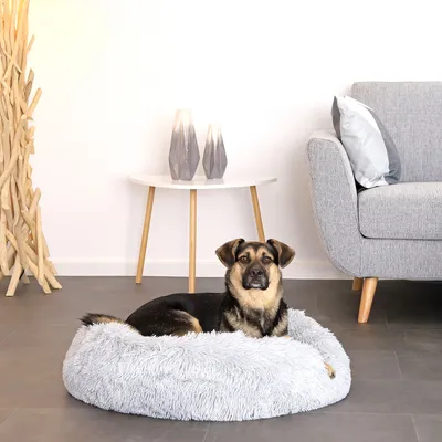 lionto Donut-Hundebett aus weichem Plüsch mit rutschfester Unterseite lionto Donut-Hundebett aus weichem Plüsch mit rutschfester Unterseite