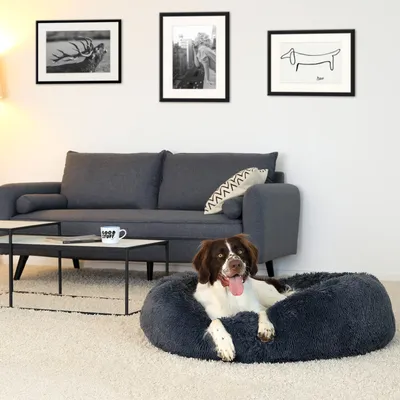 lionto Donut-Hundebett aus weichem Plüsch mit rutschfester Unterseite lionto Donut-Hundebett aus weichem Plüsch mit rutschfester Unterseite