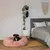 lionto Donut-Hundebett aus weichem Plüsch mit rutschfester Unterseite lionto Donut-Hundebett aus weichem Plüsch mit rutschfester Unterseite