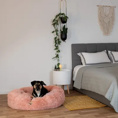 lionto Donut-Hundebett aus weichem Plüsch mit rutschfester Unterseite lionto Donut-Hundebett aus weichem Plüsch mit rutschfester Unterseite