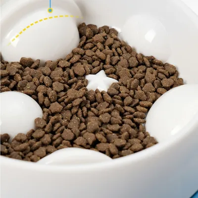 ZenPets Gamelle anti - glouton en forme de planète pour chien