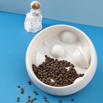 ZenPets Gamelle anti - glouton en forme de planète pour chien