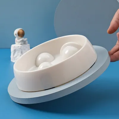 ZenPets Gamelle anti - glouton en forme de planète pour chien