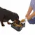 ZenPets Gamelle anti - glouton pour chien et chat