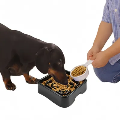 ZenPets Gamelle anti - glouton pour chien et chat