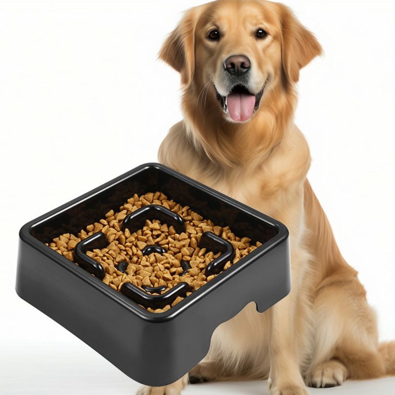 ZenPets Gamelle anti - glouton pour chien et chat