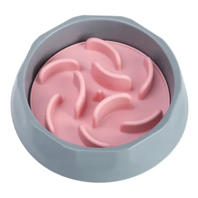 ZenPets Gamelle pour chien anti-hyperphagie