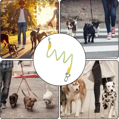 IntiMeg Harnais de siège auto pour chien