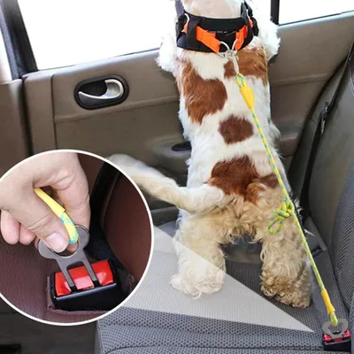 IntiMeg Harnais de siège auto pour chien