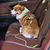 IntiMeg Harnais de siège auto pour chien