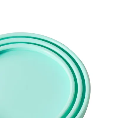 ZenPets Couvercle pour boîte de conservation