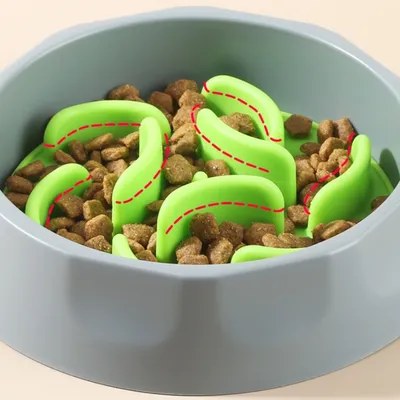 ZenPets Gamelle pour chien anti-hyperphagie