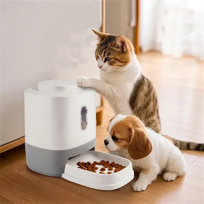 ZenPets Dispensador interactivo de comida para mascotas