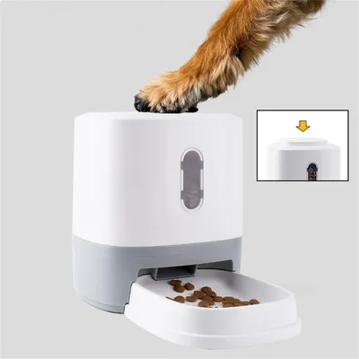 ZenPets Dispenseur d'aliments interactif pour animaux de compagnie