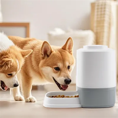 ZenPets Dispensador interactivo de comida para mascotas