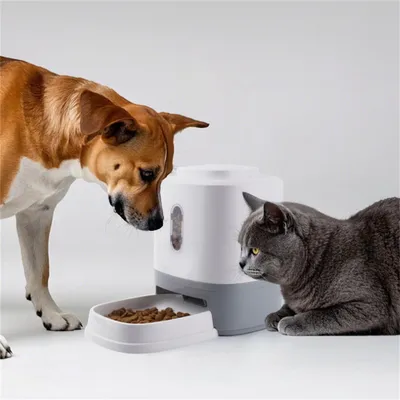 ZenPets Dispensador interactivo de comida para mascotas