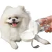 ZenPets Tasse de voyage champignon