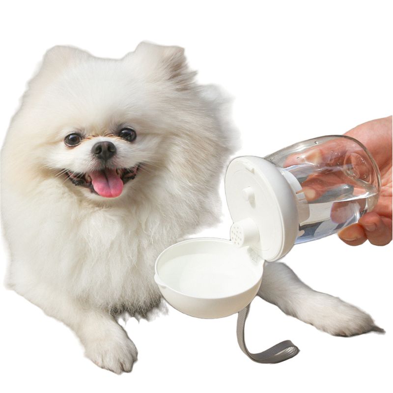 ZenPets Tasse de voyage champignon