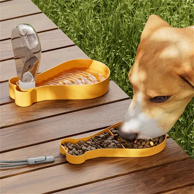 ZenPets Ensemble de tasses de voyage pour chien