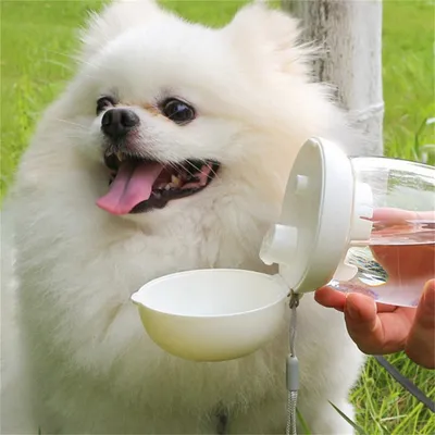 ZenPets Tasse de voyage champignon