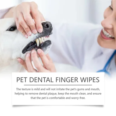 ZenPets Lingettes nettoyantes pour les dents