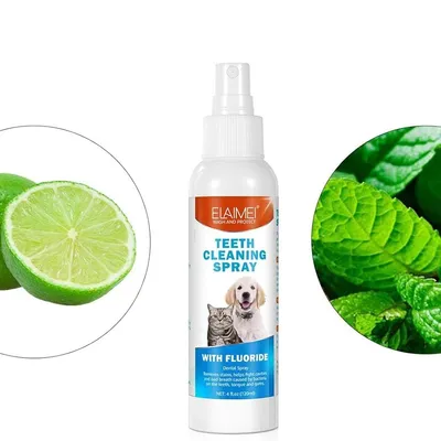 IntiMeg Spray nettoyant pour dents de chien