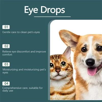 ZenPets Lotion pour les yeux des animaux de compagnie