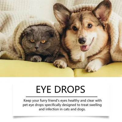 ZenPets Lotion pour les yeux des animaux de compagnie