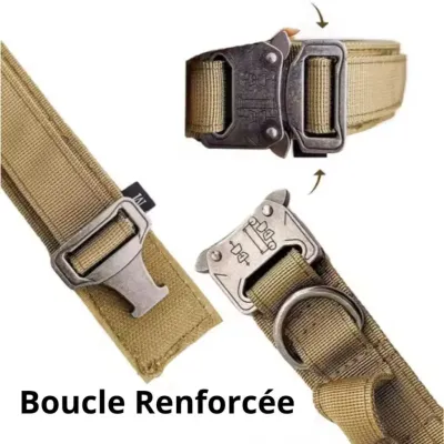 Must&Co - Collier Tactique avec Poignée pour Chien