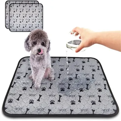 IntiMeg Coussin d'entraînement IntiMeg Coussin d'entraînement