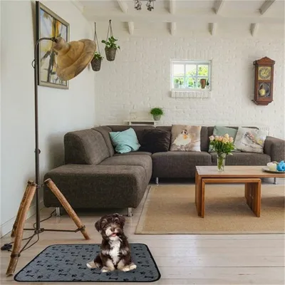 IntiMeg Coussin d'entraînement