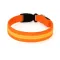 Must&Co - Collier Lumineux pour Chien Orange - Taille M