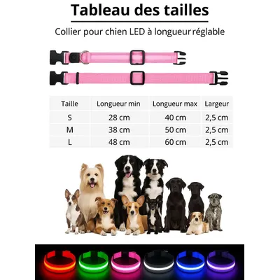 Must&Co - Collier Lumineux pour Chien