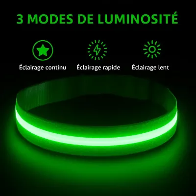 Must&Co - Collier Lumineux pour Chien