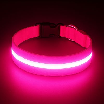 Must&Co - Collier Lumineux pour Chien