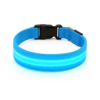 Must&Co - Collier Lumineux pour Chien