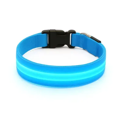 Must&Co - Collier Lumineux pour Chien Bleu - Taille M