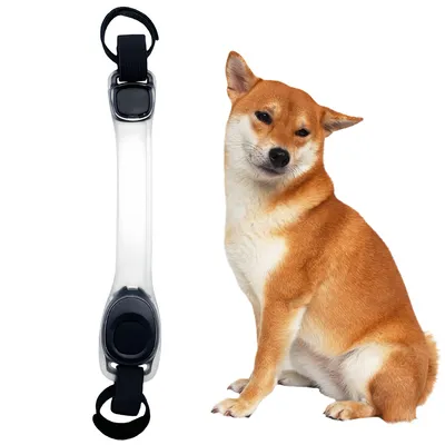 ZenPets Bande lumineuse pour animaux de compagnie ZenPets Bande lumineuse pour animaux de compagnie