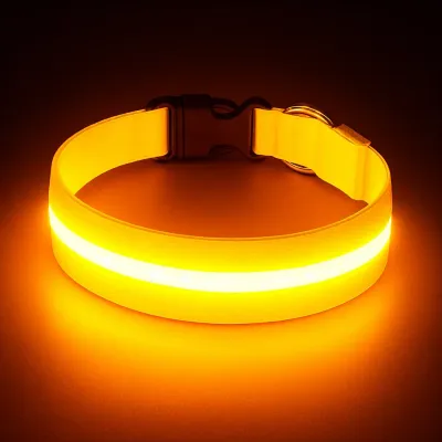 Must&Co - Collier Lumineux pour Chien