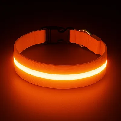 Must&Co - Collier Lumineux pour Chien