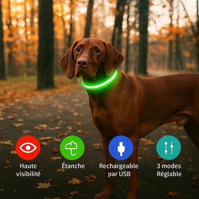 Must&Co - Collier Lumineux pour Chien